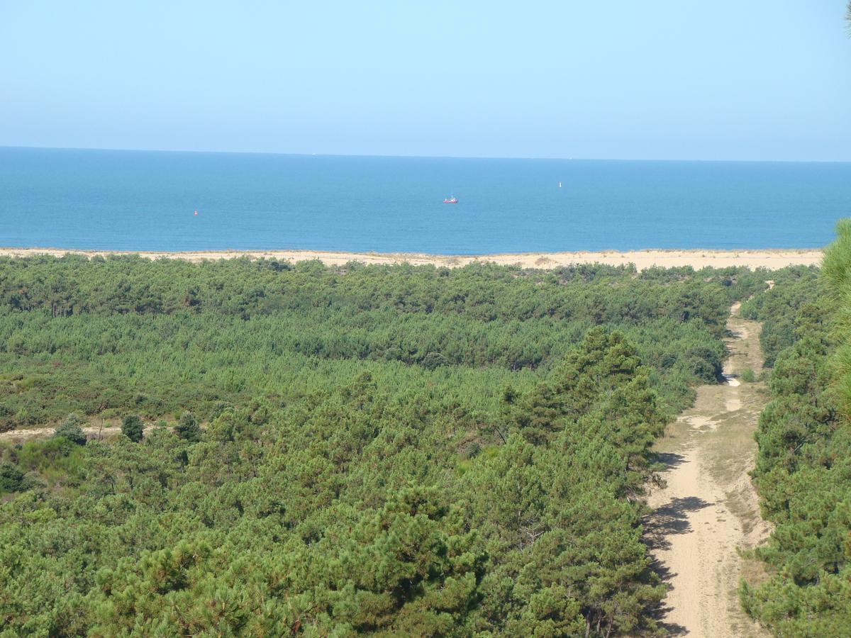 La Foret D'Armotte Saint-Augustin  Ngoại thất bức ảnh